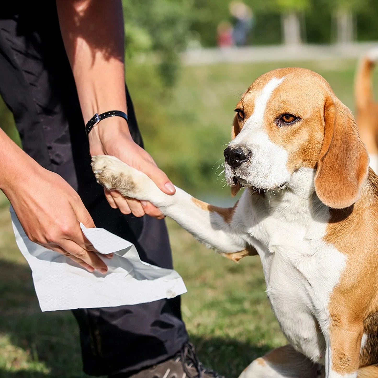 Natural Pet Wipes – 100% Plant-Based with Organic Antioxidants, Perfect for Dogs & Cats