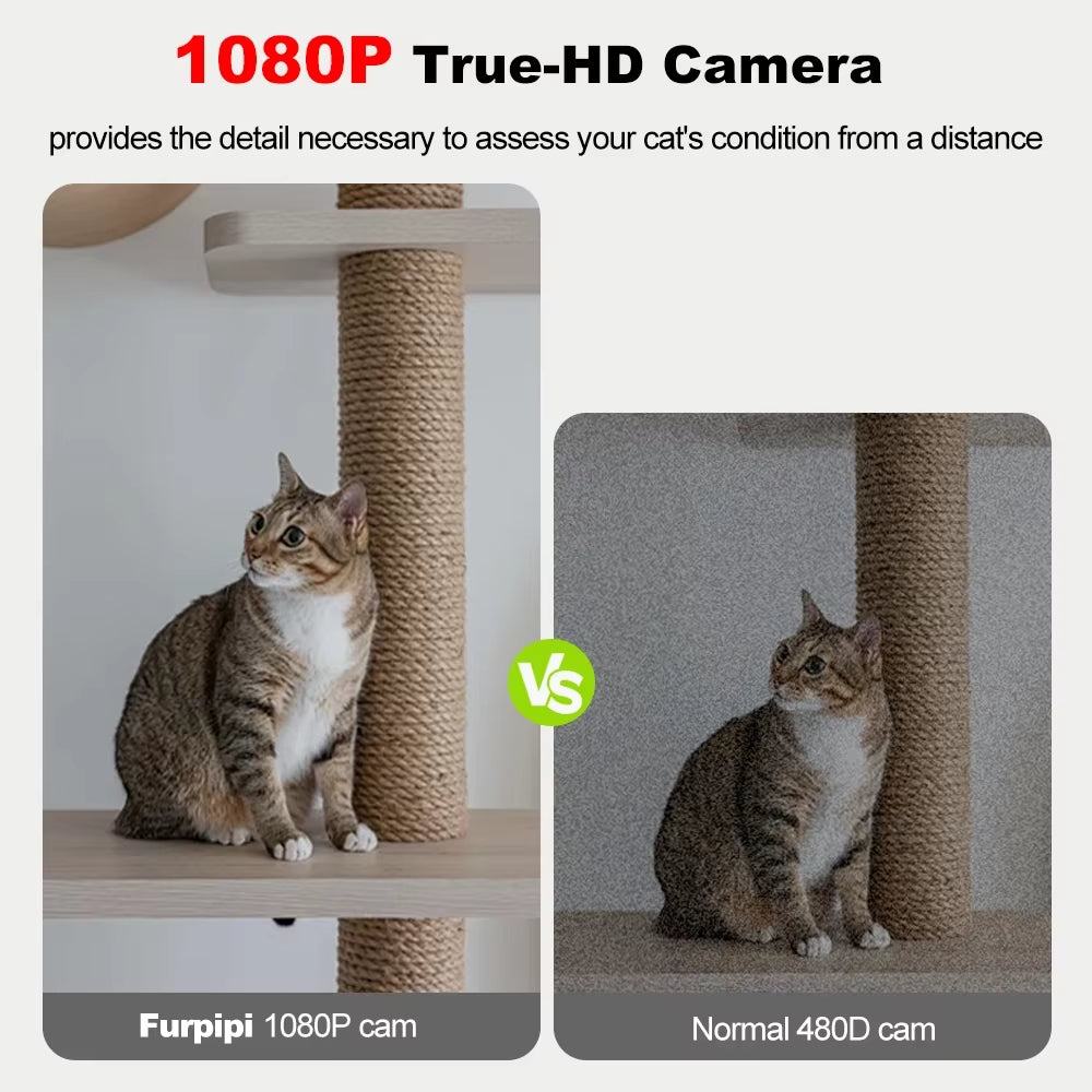 Automatic Dog Feeders with Camera 1080P HD 5G Wifi Pet Feeder Tuya APP Control Automatic Cat Dog Food Dispenser